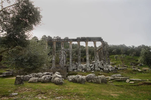 Columnas Del Antiguo Templo Zeus Euromos Eran Una Ciudad Antigua —  Fotos de Stock