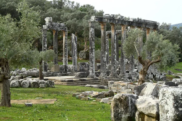 位于欧罗莫的宙斯古寺的柱子是土耳其卡利亚安纳托利亚的一座古城 — 图库照片