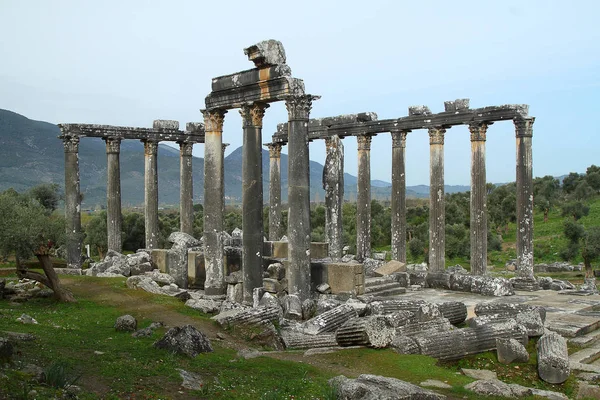 Colunas Temple Antigo Zeus Euromos Eram Uma Cidade Antiga Anatolia — Fotografia de Stock