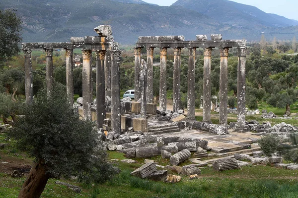 Κίονες Του Αρχαίου Ναού Του Δία Στον Euromos Ήταν Μια — Φωτογραφία Αρχείου