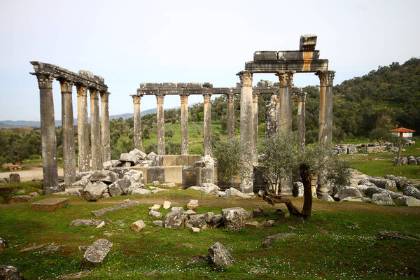 Columns of the ancient temple of Zeus at Euromos was an ancient city in Caria Anatolia Turkey