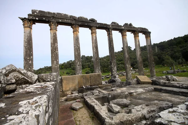 Colonne Dell Antico Tempio Zeus Euromos Era Antica Città Caria — Foto Stock