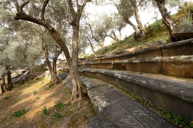 Türkiye 'de eski zeytin ağacı ve Bafa Gölü üzerindeki antik kalıntılar, milli park