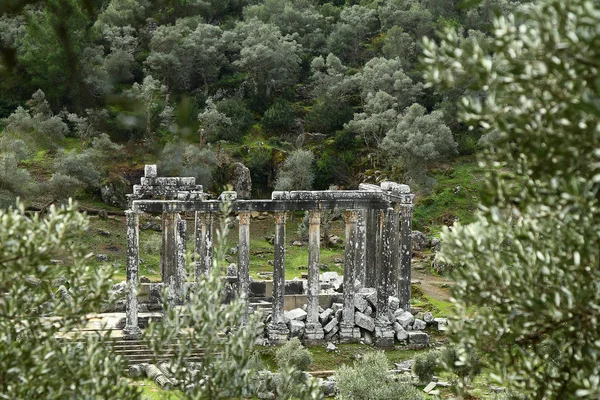 Kolommen Van Oude Tempel Van Zeus Bij Euromos Een Oude — Stockfoto