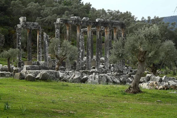 Columnas Del Antiguo Templo Zeus Euromos Eran Una Ciudad Antigua — Foto de Stock