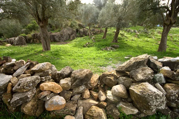 Mura Rovina Del Castello Sul Lago Bafa Una Riserva Naturale — Foto Stock