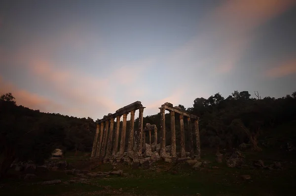 Colonne Dell Antico Tempio Zeus Euromos Era Antica Città Caria — Foto Stock