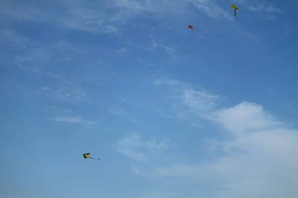 Seagull Flying Swobodnie Niebo Stambuł Turcja — Zdjęcie stockowe