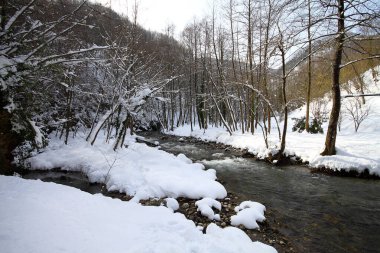 Bir kış günü altında karda