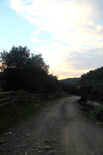 Una Carretera Soleada Pueblo Bodrum Turquía — Foto de Stock