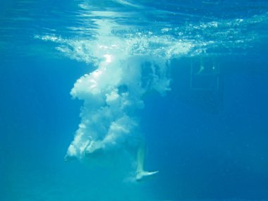Sualtı Sahnesi Güneş Işığı, Sualtı Hayatı. Deniz Altında