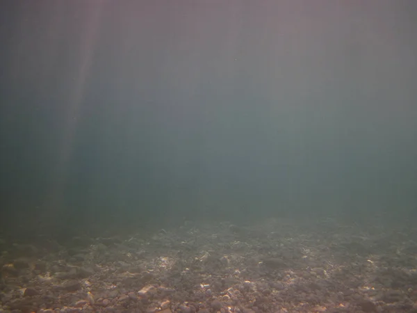 Undervattensscen Solljus Fisk Undervattensliv Havets Undervatten — Stockfoto