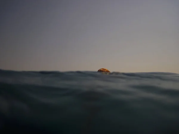 Escena Submarina Luz Del Sol Peces Vida Submarina Mar Submarino —  Fotos de Stock