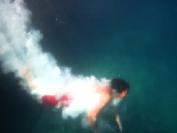 Підводна Сцена Сонячне Світло Риба Підводне Життя Морський Підводний — стокове фото