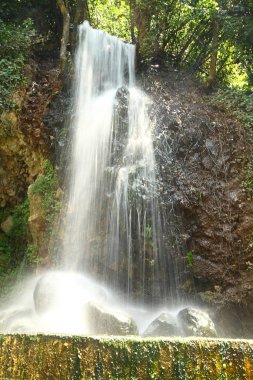 Şelale yeşili orman nehir manzarası. Güzel yeşil doğa konsepti, sanatsal parlak yeşil ağaçlar