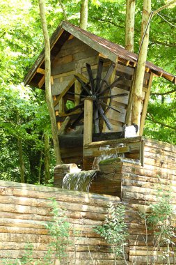 Ormandaki yeşil bir çayırda küçük bir ahşap ev duruyor.