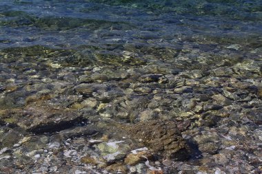 Arka plan denizi, okyanus. Okyanusta dalgalarda sörf yapmak. Deniz dalgaları. Deniz dalgaları. Okyanus kıyısında deniz dalgaları