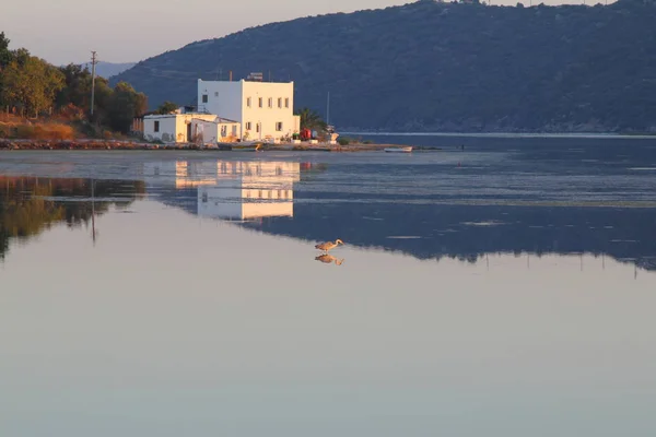 Zničený Kamenný Dům Odraz Bodrum Turecko — Stock fotografie