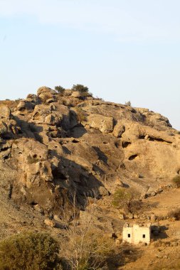 Yaz sıcağında kuru bir devedikeni olan bulutlarla dolu güneşli bir gün..
