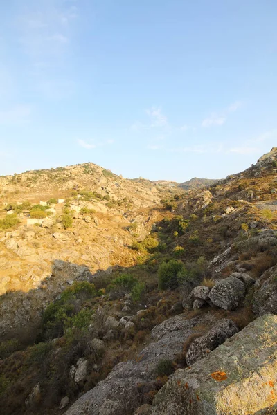 Día Soleado Con Nubes Campo Con Cardo Seco Por Las — Foto de Stock