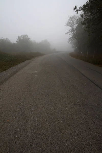 Otoño Bosque Niebla Paisaje Silueta Árboles Niebla Forestal Otoño Bosque — Foto de Stock