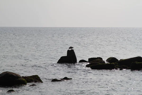 Sea Waves Breaking Rocks Deep Blue Sea Waves Hit Cliff — Stock Photo, Image