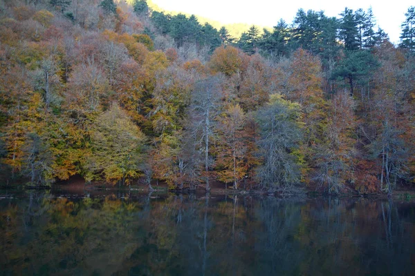 Sevenlakes National Park Autumn Bolu Turkey Yedigoller Milli Parki — Stock Photo, Image