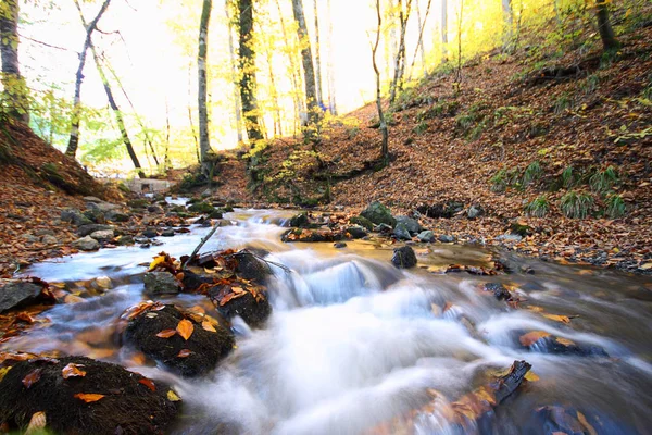 Parque Nacional Sevenlakes Otoño Bolu Turquía Yedigoller Milli Parki — Foto de Stock