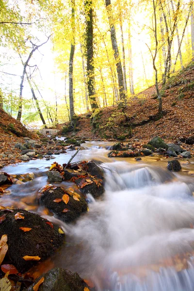 Parque Nacional Sevenlakes Otoño Bolu Turquía Yedigoller Milli Parki — Foto de Stock