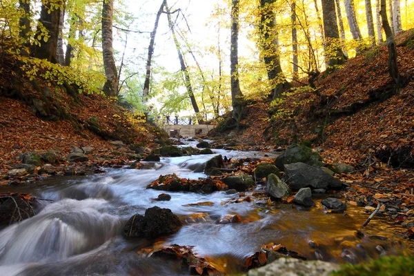 Parque Nacional Sevenlakes Otoño Bolu Turquía Yedigoller Milli Parki — Foto de Stock