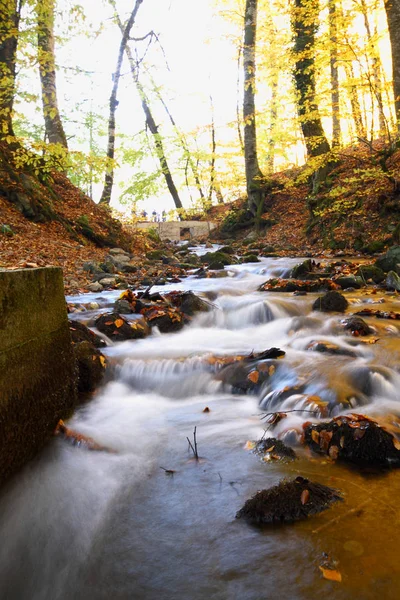 Parque Nacional Sevenlakes Otoño Bolu Turquía Yedigoller Milli Parki — Foto de Stock