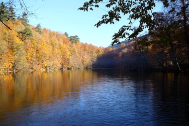 Bolu 'da sevenlakes Milli Parkı 'nda Türkiye. Yedigoller Milli Parkı