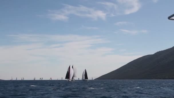 鳥が飛んで風が吹く海の上のセーリングボート水の波 — ストック動画