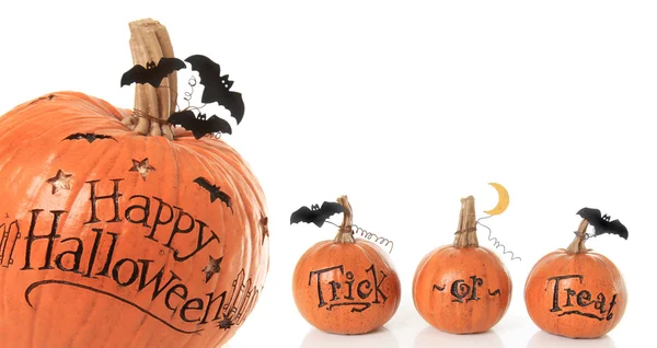 Halloween pumpkins on white — Stock Photo, Image