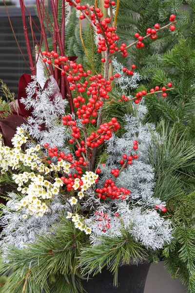 Weihnachtlicher Blumenschmuck — Stockfoto