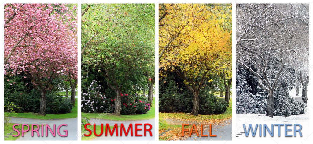 Four seasons on the same street.