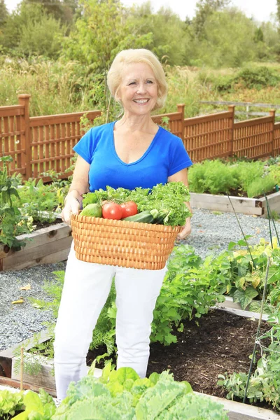 Giardiniere senior signora — Foto Stock