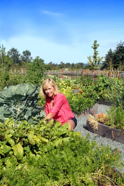 Žena v zeleninové zahradě — Stock fotografie