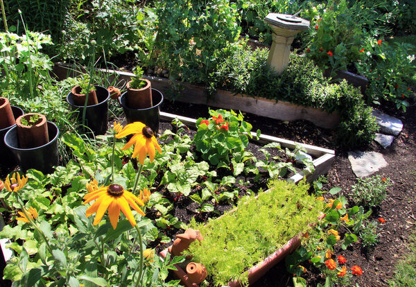 Summer vegetable and flower garden
