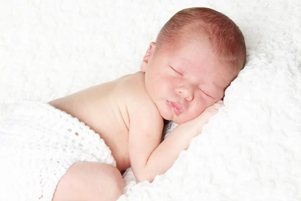 Newbonr baby portret — Stockfoto