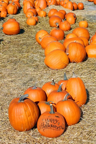 Halloween kabak yama — Stok fotoğraf