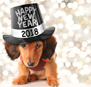 Mutlu yeni yıl 2018 köpek yavrusu