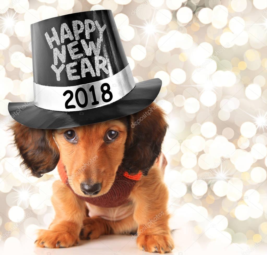 Happy New Year 2018 puppy