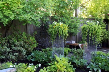 Çok yıllık park Çiçeklik