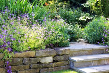 Çok yıllık bahar bahçe