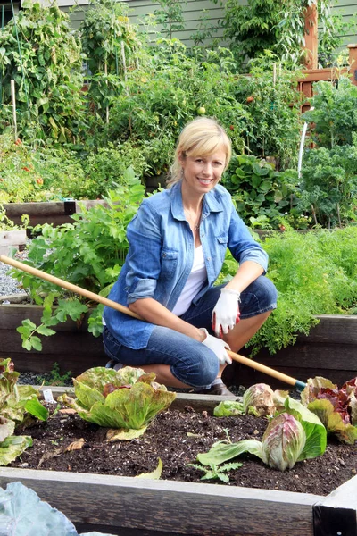 Γυναίκα κηπουρός σε ένα λαχανόκηπο. — Φωτογραφία Αρχείου