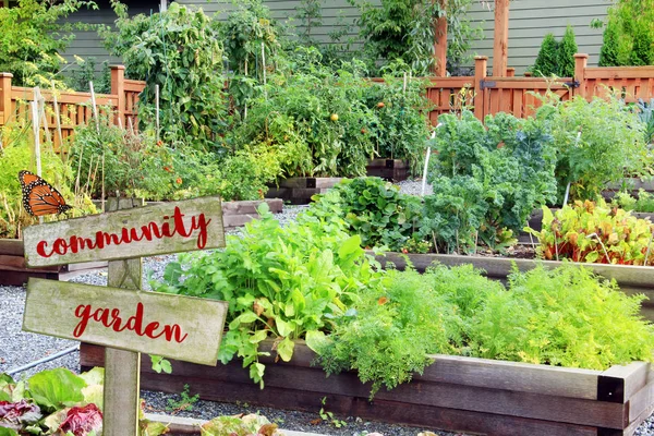 Groente en kruid tuin. — Stockfoto