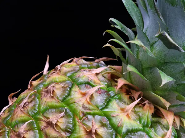 Närbild av ananas med grön blad isolerad på svart bakgrund — Stockfoto