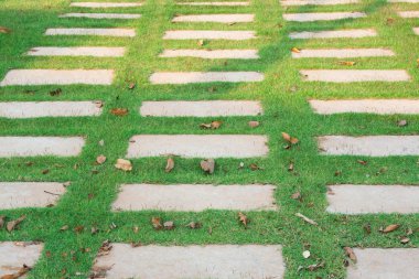 Pad çimenlerin üzerinde yürüyüş yolları taş