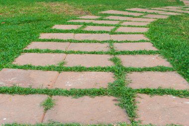 Taşların arasında büyüyen çimenli bahçe taşı patikası.